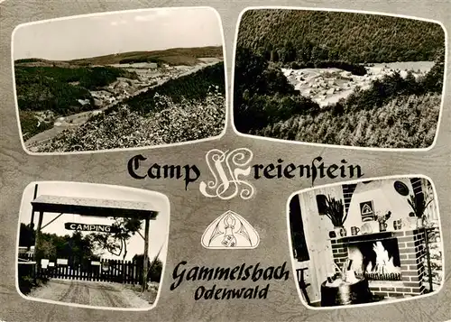 AK / Ansichtskarte 73910773 Gammelsbach Camp Freienstein eingang Panorama Kaminzimmer