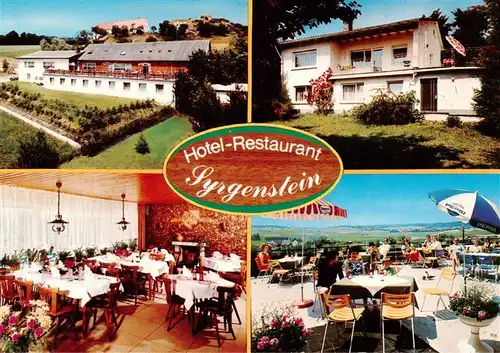 AK / Ansichtskarte  Syrgenstein_Schwaben Hotel Restaurant Syrgenstein Gastraum Terrasse