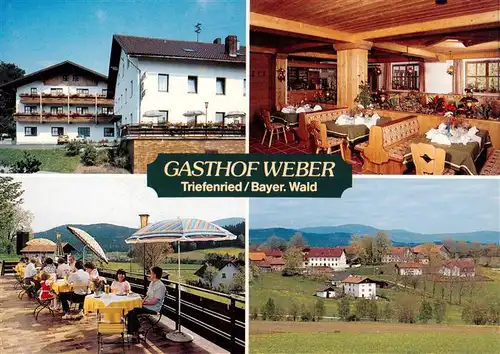 AK / Ansichtskarte 73910942 Triefenried Gasthof Weber Pension Gastraum Terrasse Panorama