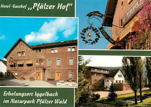 AK / Ansichtskarte  Iggelbach Hotel Gasthof Pfaelzer Hof Teilansichten