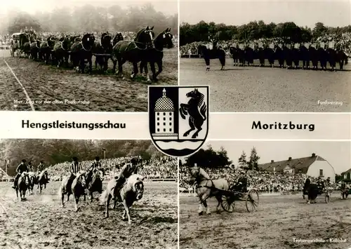 AK / Ansichtskarte  Moritzburg_Sachsen Hengstleistungsschau Postkutsche Fanfarenzug Traberquadrille Kaltblut Haflinger Rennen Handabzug