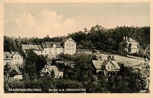 AK / Ansichtskarte  Blankenburg_Harz Blick zum Grossvater