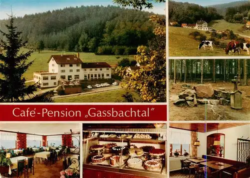 AK / Ansichtskarte 73911778 Gras-Ellenbach_Grasellenbach Cafe Pension Gassbachtal Gastraeume Kuchentheke Waldpartie