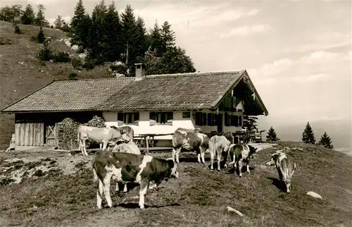 AK / Ansichtskarte 73911836 Heuberg_1350m_Inntal_Chiemgauer_Alpen Dafner Alm