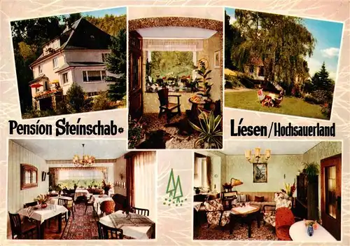 AK / Ansichtskarte  Liesen_Hallenberg_Hochsauerland Pension Am Steinschab Gastraeume Park