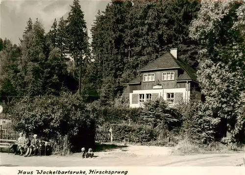 AK / Ansichtskarte  Hirschsprung Haus Wackelbartsruhe