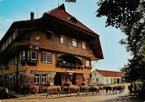 AK / Ansichtskarte  Freudenstadt Schwarzwaldgasthof Pension Adrionshof Viehtrieb