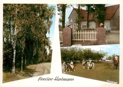 AK / Ansichtskarte 73912255 Bad_Laer Pension Hartmann Ponywiese Waldpartie