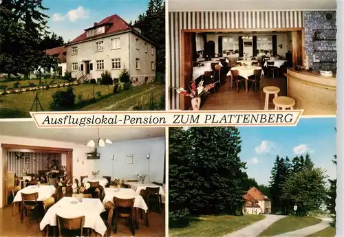 AK / Ansichtskarte 73912267 Hoppecke_Brilon Ausflugslokal Pension Zum Plattenberg Gastraeume Park