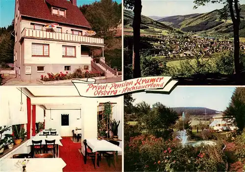 AK / Ansichtskarte  Olsberg_Sauerland Privat Pension Kramer Gaststube Panorama Parkfontaene