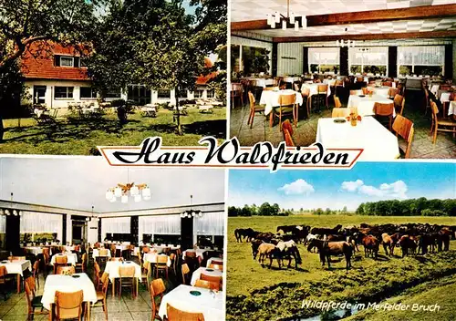 AK / Ansichtskarte  Duelmen Maerchenwald Gasthaus Waldfrieden am Wildpark Gastraeume Wildpferde im Merfelder Bruch