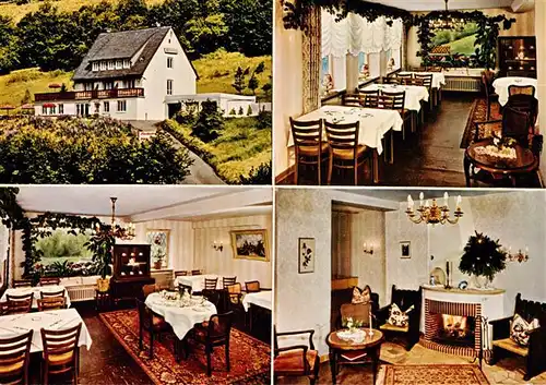 AK / Ansichtskarte  Willingen_Sauerland Hotel Pension Laerchenhof Gastraeume Kaminzimmer