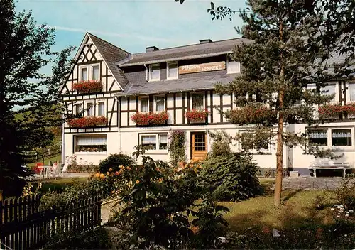 AK / Ansichtskarte  Schmallenberg Pension Haus Henneke