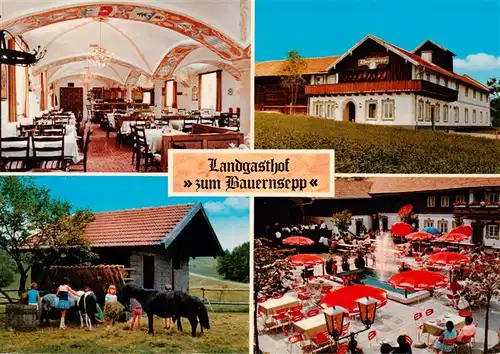 AK / Ansichtskarte 73912659 Kiefering Landgasthof zum Bauernsepp Gastraeume Ponyreiten