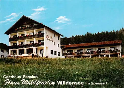 AK / Ansichtskarte 73912680 Wildensee_Unterfranken_Spessart_Eschau Gasthaus Pension Haus Waldfrieden