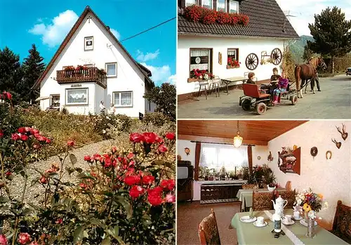 AK / Ansichtskarte 73912774 Braunshausen_Sauerland Pension Hof am Wald Ponykutsche Gaststube