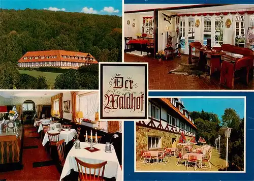 AK / Ansichtskarte  Bad_Eilsen Hotel Der Waldhof Gastraeume Terrasse