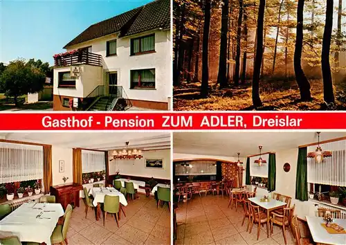 AK / Ansichtskarte 73912818 Dreislar Gasthof Pension Zum Adler Gastraeume Waldpartie