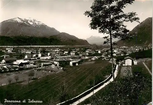 AK / Ansichtskarte  Tolmezzo_Udine_IT Panorama