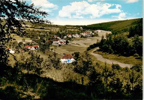 AK / Ansichtskarte  Wildensee_Unterfranken_Spessart_Eschau Gasthaus Pension Aubachtal Panorama