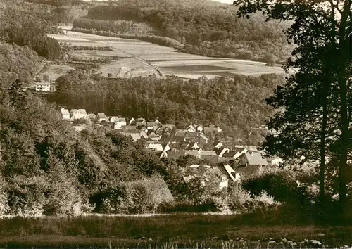 AK / Ansichtskarte  Allendorf_Haiger Panorama