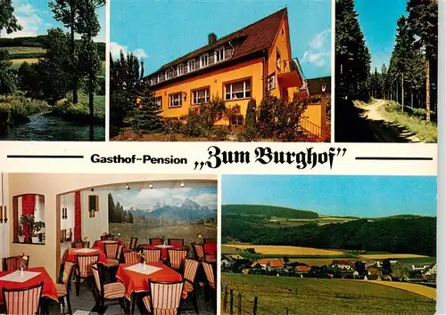 AK / Ansichtskarte 73912927 Dreislar Gasthof Pension Zum Burghof Panorama Waldpartie