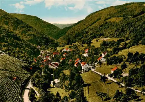 AK / Ansichtskarte  Riveris Panorama Osburger Hochwald