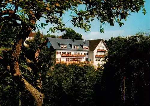 AK / Ansichtskarte  Manderscheid_Eifel Hotel Pension Haus Burgblick