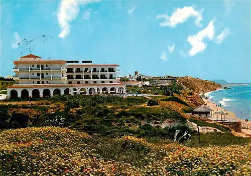 AK / Ansichtskarte  Conil_de_la_Frontera Hotel Flamenco Vista parcial y acceao a la playa