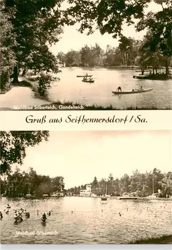 AK / Ansichtskarte  Seifhennersdorf Waldbad Silberteich Gondelteich