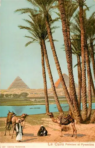 AK / Ansichtskarte 73913565 Le_Caire__Egypt Palmiers et Pyramides