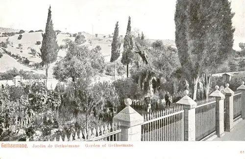 AK / Ansichtskarte 73913583 Gethsemane_Gethsemani_Israel Jardin de Gethsemane