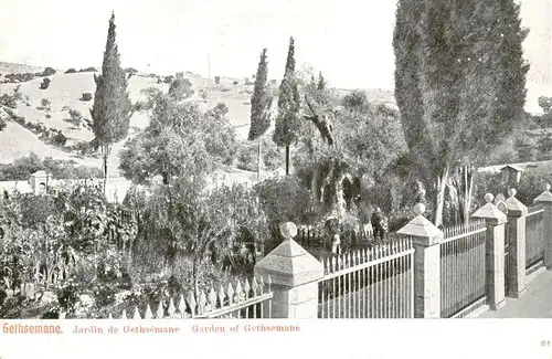 AK / Ansichtskarte  Gethsemane_Gethsemani_Israel Jardin de Gethsemane