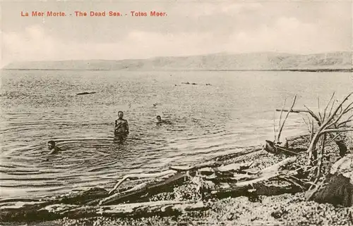 AK / Ansichtskarte  Dead_Sea_Totes_Meer_Israel Seepanorama