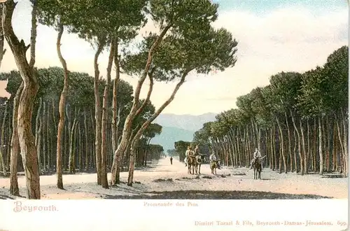 AK / Ansichtskarte  Beyrouth_Libanon Promenade des Pins