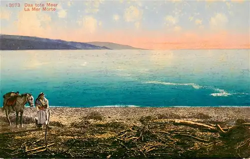 AK / Ansichtskarte  Totes_Meer_Dead_Sea_Israel Panorama