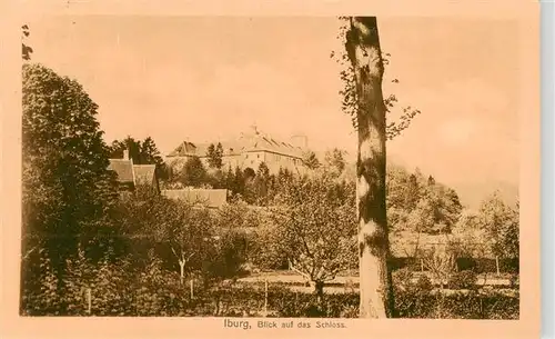 AK / Ansichtskarte  Iburg_Bad Blick auf das Schloss