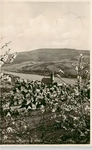 AK / Ansichtskarte  Lorch_Rheingau Panorama