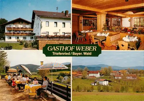 AK / Ansichtskarte 73913964 Triefenried_Niederbayern Gasthof Weber Gaststube Terrasse Panorama