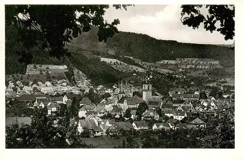 AK / Ansichtskarte  Haslach_Kinzigtal Panorama