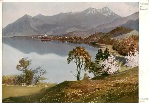 AK / Ansichtskarte  Tegernsee Panorama