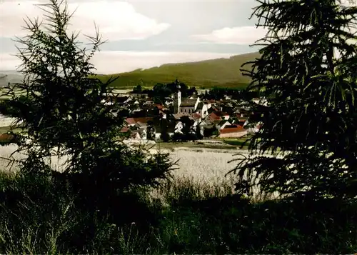 AK / Ansichtskarte  Eslarn Panorama