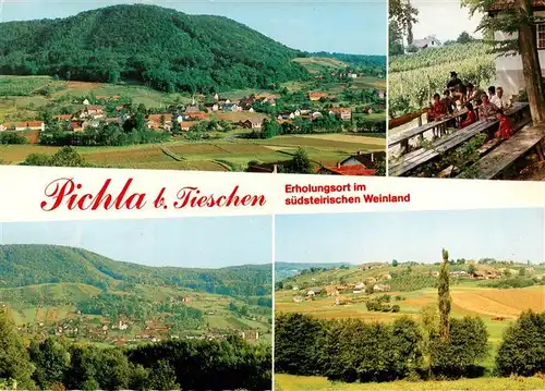 AK / Ansichtskarte  Tieschen Pichla mit Koenigsberg Panorama Buschenschaenke