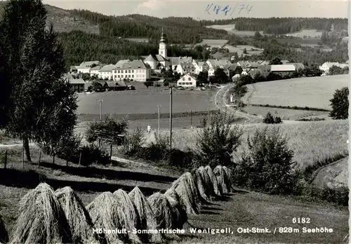 AK / Ansichtskarte  Wenigzell Panorama