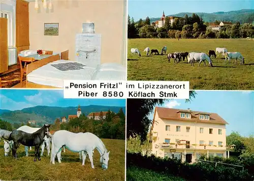 AK / Ansichtskarte  Koeflach_Steiermark_AT Pension Fritzl Gaestezimmer Lipizzaner auf der Weide