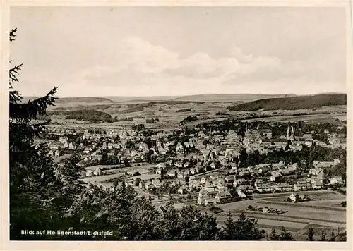 AK / Ansichtskarte 73914377 Heiligenstadt__Eichsfeld Panorama