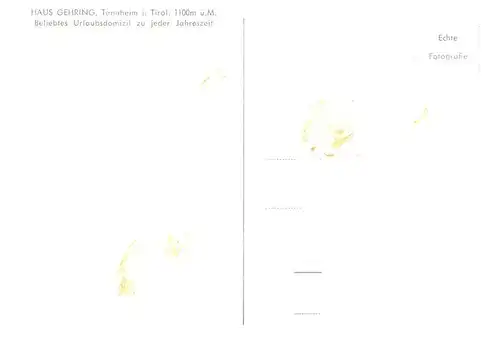 AK / Ansichtskarte  Tannheim_Tirol_AT Haus Gehring Panorama Aufenthaltsraum Schigelaende am aelpele