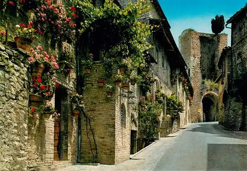 AK / Ansichtskarte 73914506 Assisi_Umbria Porta San Giacomo