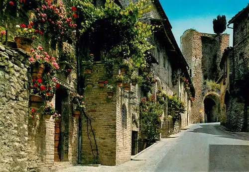 AK / Ansichtskarte  Assisi_Umbria Porta San Giacomo