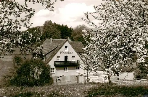 AK / Ansichtskarte  Fuerth_Odenwald Eselsmuehle